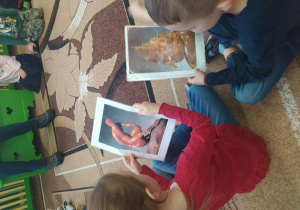 Dzieci podczas prelekcji o bursztynie, oglądają rzeźby wykonane z bursztynu