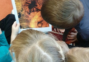 Na zdjęciu dzieci oglądają zdjęcia przedstawiające bursztyny.