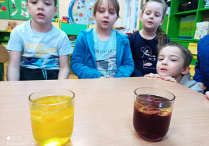 Na zdjęciu dziewczynki obserwują eksperyment z kolorową woda i olejem.