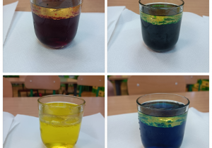 Na zdjęciu umieszczone są szklanki w których jest woda w kolorze żółtym, niebieskim, zielonym i czerwonym, widoczna jest warstwa oleju na górze szklanek.