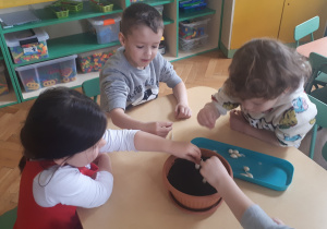 zdjęcie przedstawia dzieci z gr ,,Misie” sadzące cebulki do doniczek