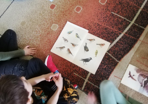 dzieci podczas zabawy z małymi obręczami plastikowymi "Ptaszki do gniazd"