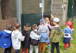 Grupa dzieci zaglądająca do wybiegu z orłem.