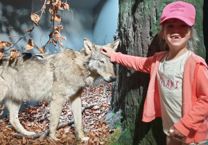 Na zdjęciu uśmiechnięta dziewczynka w czapce z daszkiem pozuje z figurą wilka.