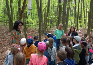 Na zdjęciu dzieci i nauczycielki słuchające informacji o pułapkach na korniki w lesie.