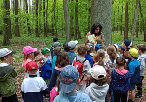 Na zdjęciu dzieci słuchają informacji o ptakach mieszkających w lesie i przyglądają się powieszonej dla nich budce.