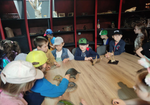 przedszkolaki podczas oglądania materiału przyrodniczego