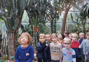 Wnętrze palmiarni, kilkoro dzieci na tle bujnej roślinnośc