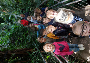 Kilkoro dzieci na mostku w palmiarn