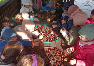 Na zdjęciu dzieci z grupy Skrzaty układają jesienne mandale z kasztanów i szyszek.