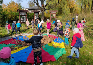 Dzieci zbierają liście jesienne i kładą na kolorową chustę leżącą na ziemi.