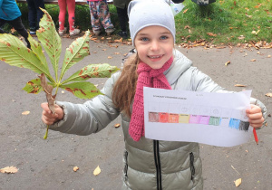 Na zdjęciu dziewczynka trzymająca kartę z różnymi kolorami i liścia kasztanowca.