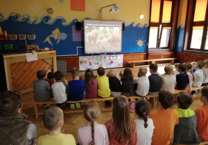 dzieci oglądają na tablicy multimedialnej film o tematyce przyrodniczej