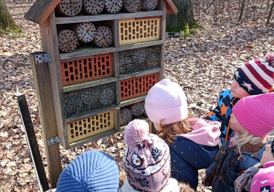 Na zdjęciu dzieci oglądają domek dla owadów.