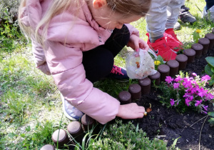Na zdjęciu dziewczynka sadzi kwiaty w grupowym ogródku