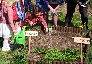 przedszkolaki sadzą rośliny wraz z Paniami