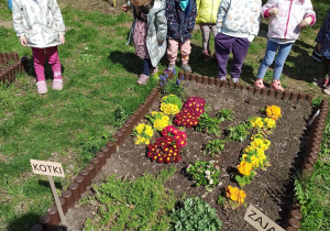 dzieci w ogrodzie ogladają rosliny