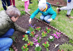 Dzieci z pomocą pani sadzą roślinki na grządce grupowej.