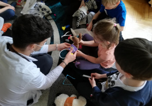 Dzieci siedzą na dywanie i pod kierunkiem studenta medycyny uczą się używając zabawkowych narzędzi medycznych badać swoje maskotki misiów, które są ich pacjentami.