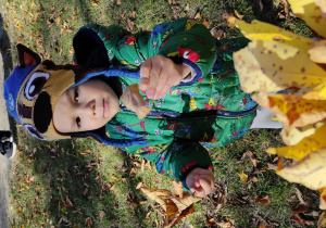 chłopiec zbierający liście w ogrodzie