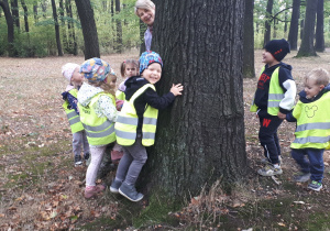 zdjęcie przedstawia dzieci w Parku stojące dookoła drzewa i oglądające jego pień.