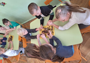 Dzieci dotykają kasztany, żołędzie, orzechy i szyszki.
