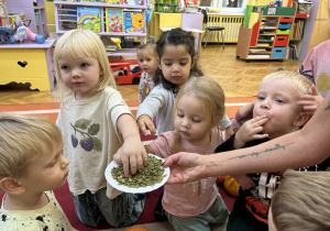 Na zdjęciu dzieci jedzą pestki dyni.