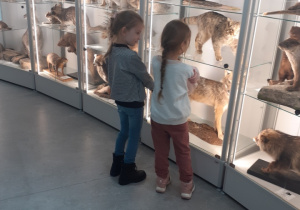 Na zdjęciu stoją dziewczynki oglądające eksponaty umieszczone w gablocie