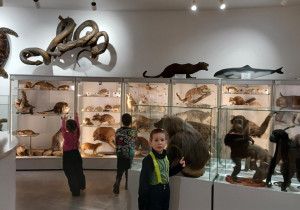 na zdjęciu dzieci oglądają gabloty z eksponatami ryb, płazów, i małp