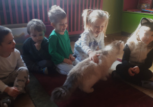 Na zdjęciu dzieci z grupy "Misie” podczas zabawy z kotem.