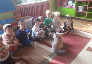 Na zdjęciu dzieci z grupy "Misie” podczas zabawy z kotem.