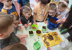 Na zdjęciu dzieci sadzą cebulki kwiatowe.
